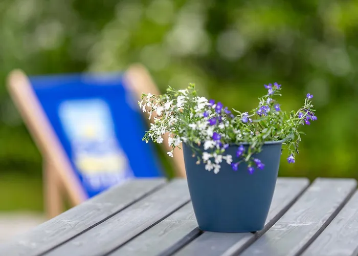 Letniskowe Plaza * Sianozety